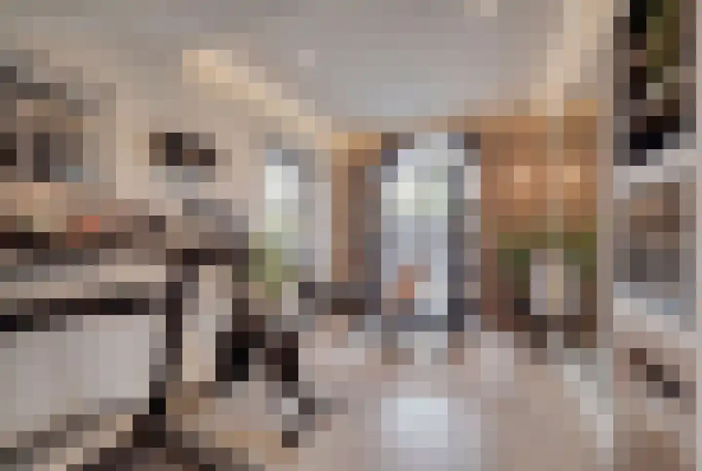 Cupidohof 4 Maastricht thumbnail 22