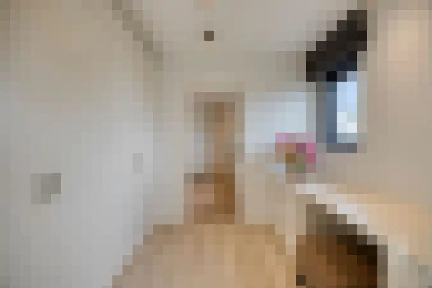 Cupidohof 4 Maastricht thumbnail 30