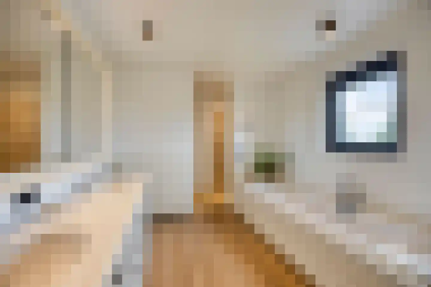 Cupidohof 4 Maastricht thumbnail 31