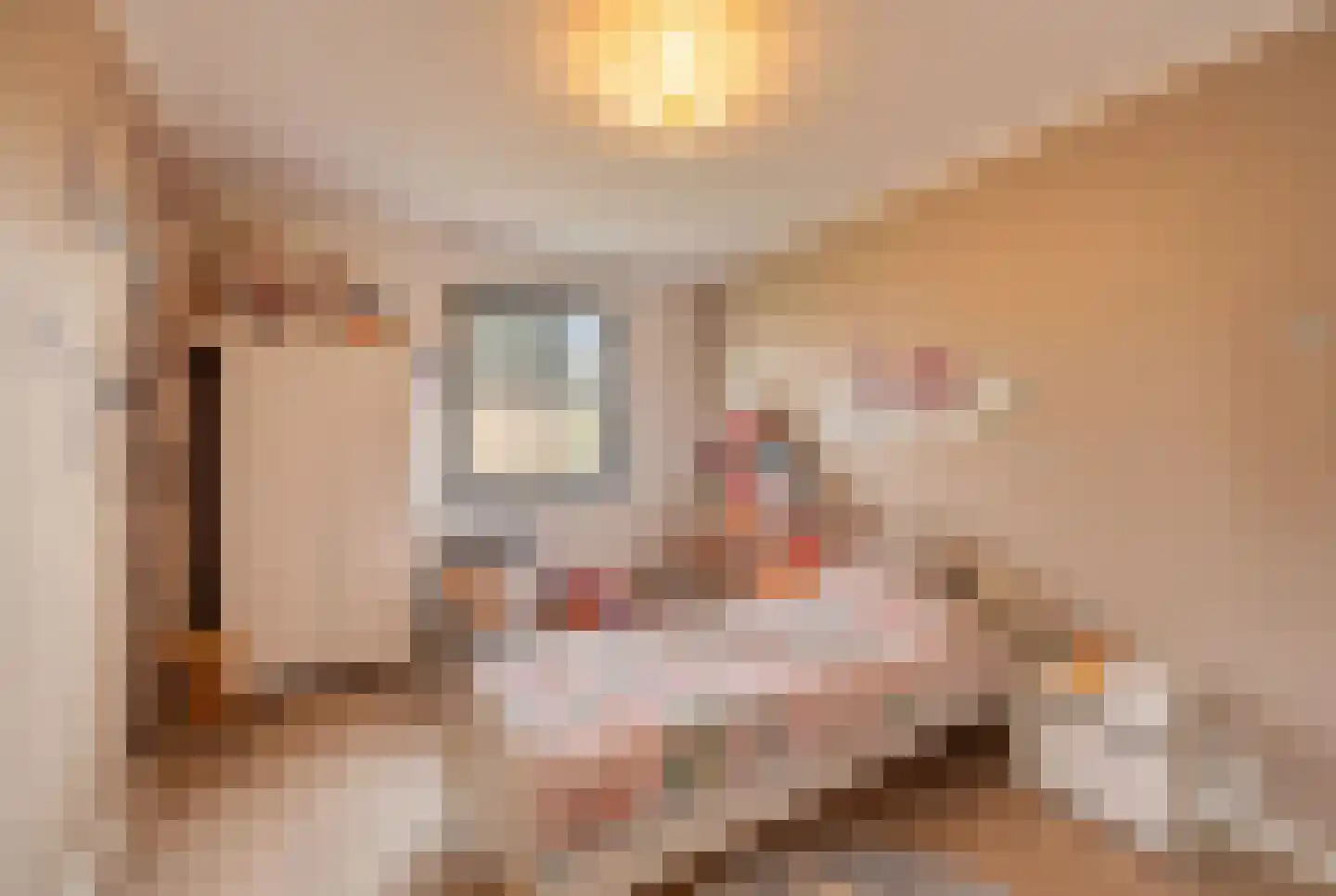 Cupidohof 4 Maastricht thumbnail 33