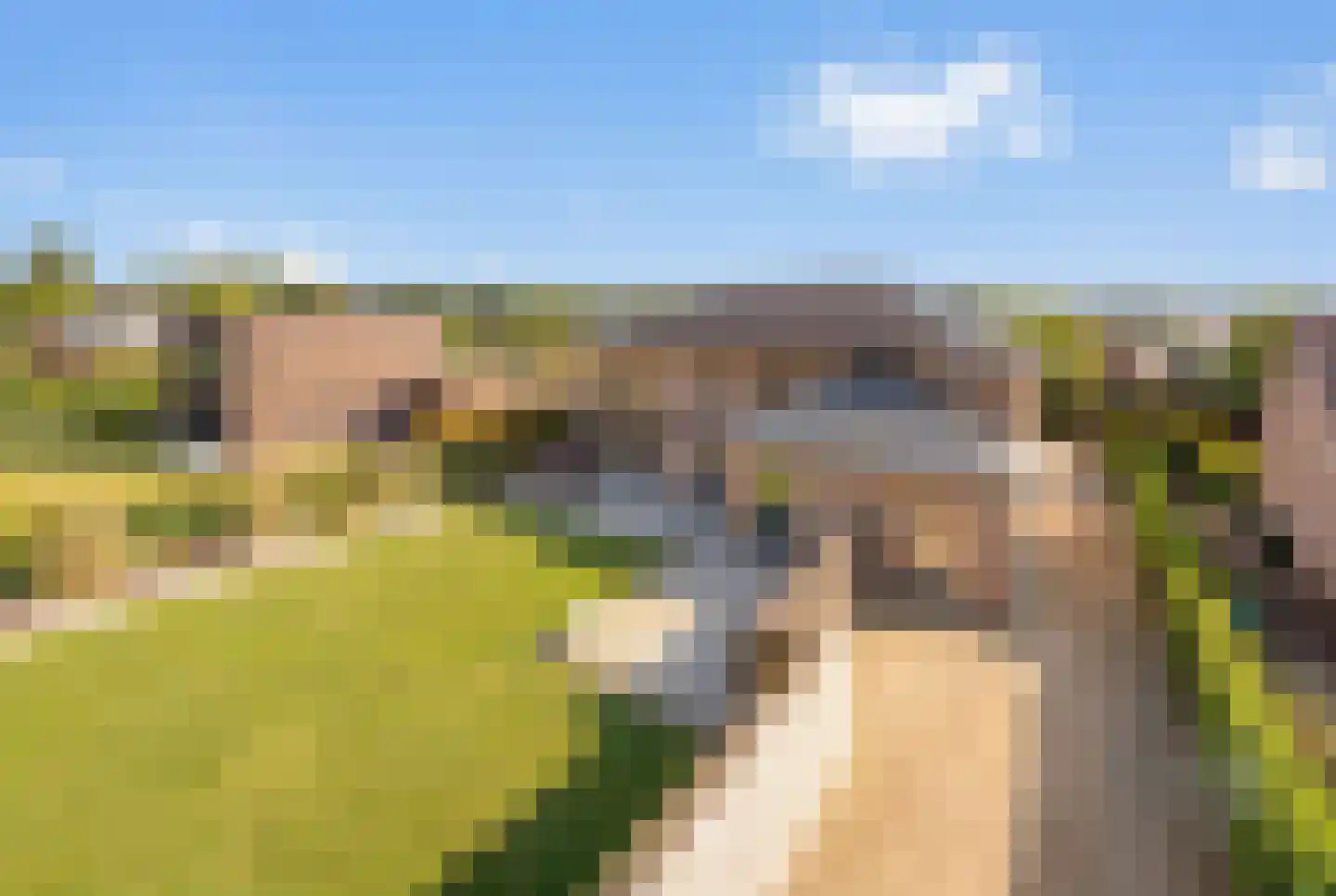 Cupidohof 4 Maastricht thumbnail 43