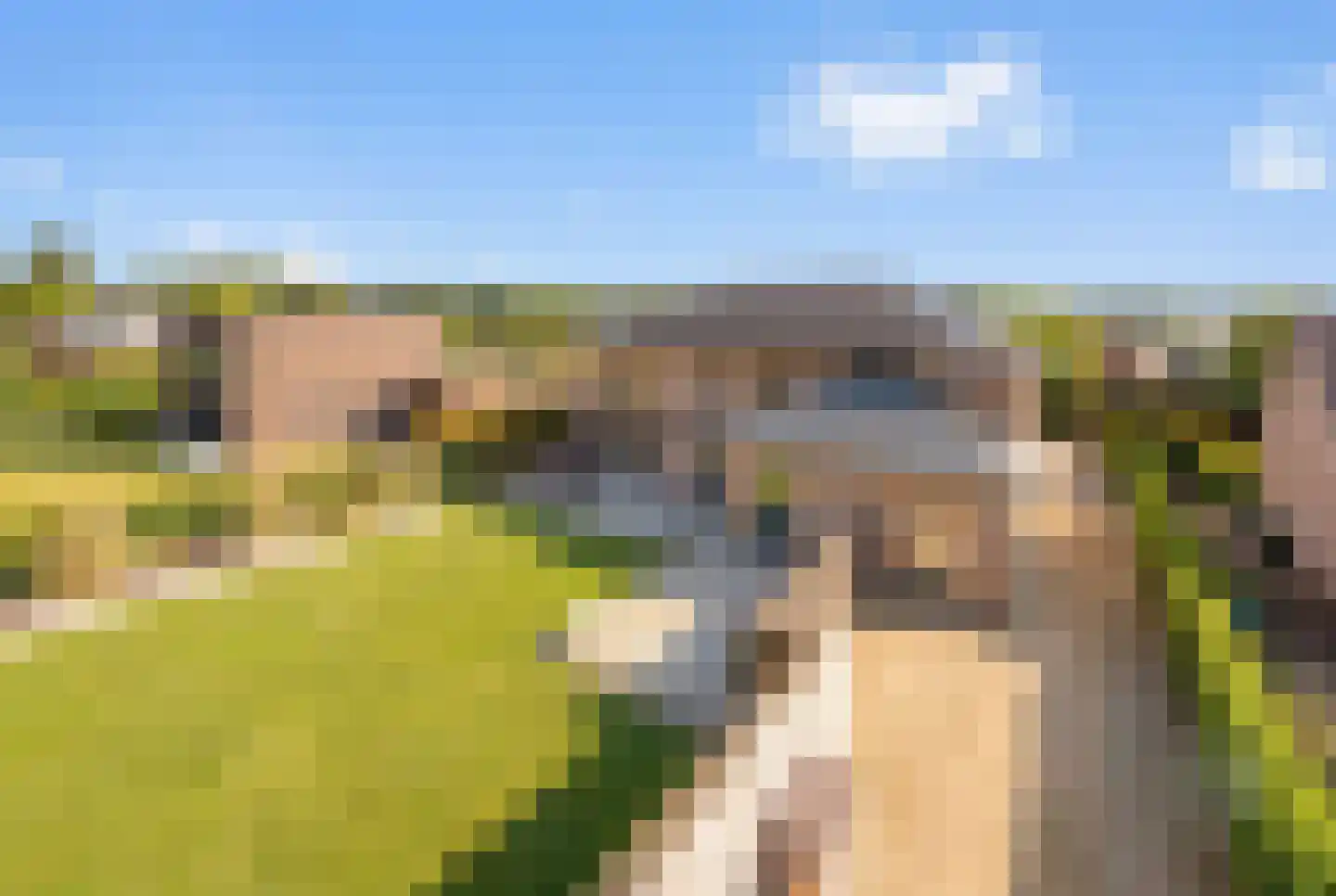Cupidohof 4 Maastricht thumbnail 6