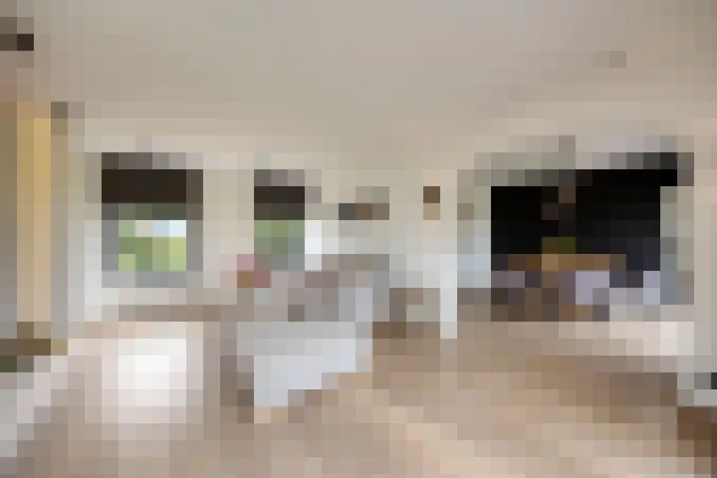 Cupidohof 4 Maastricht thumbnail 8
