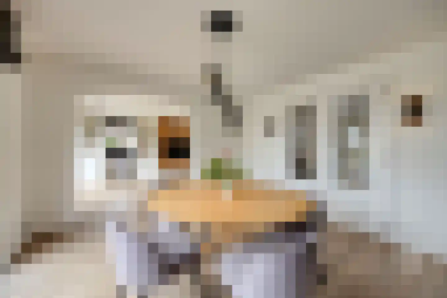 Cupidohof 4 Maastricht thumbnail 9