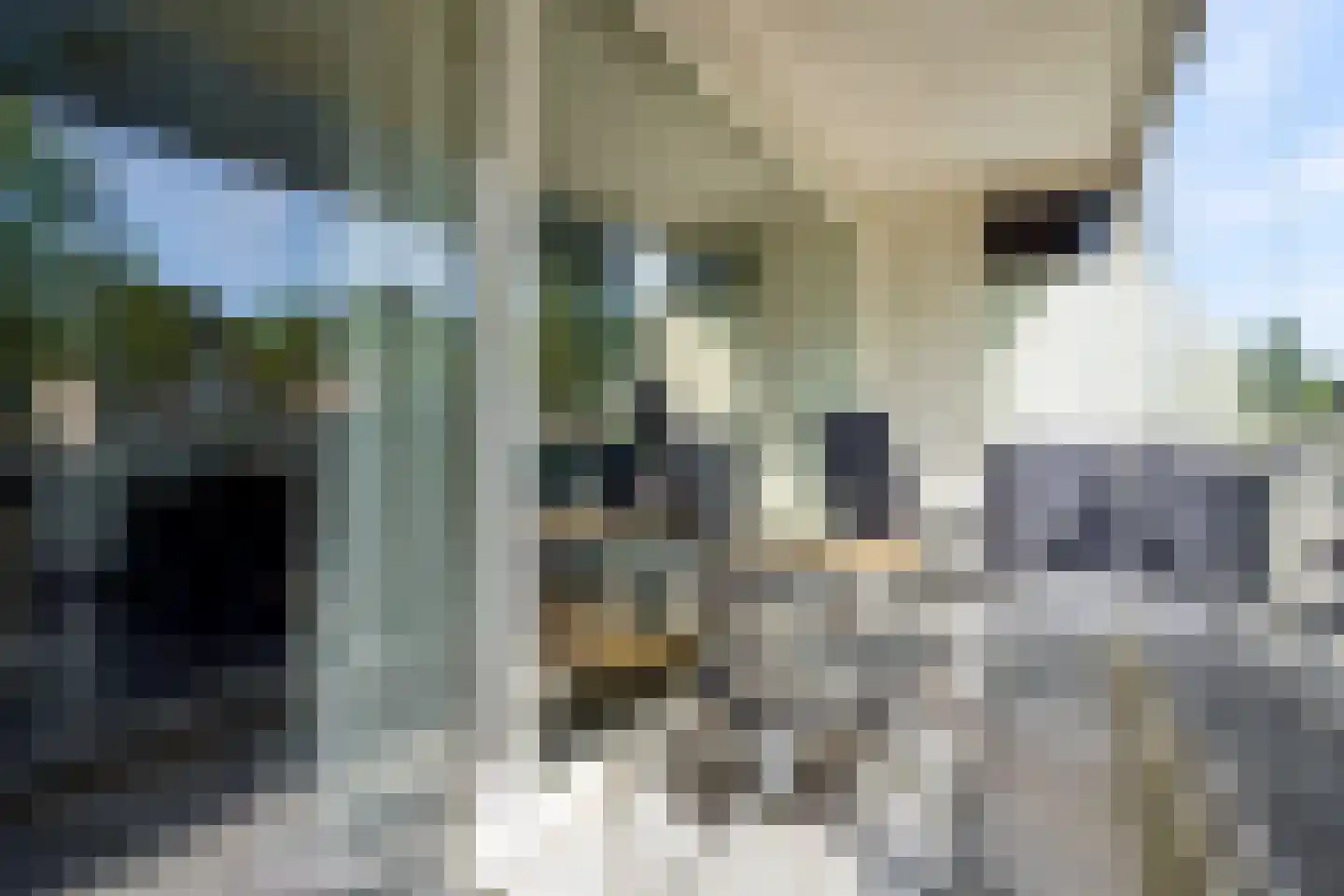 Cupidohof 6 Almere thumbnail 31