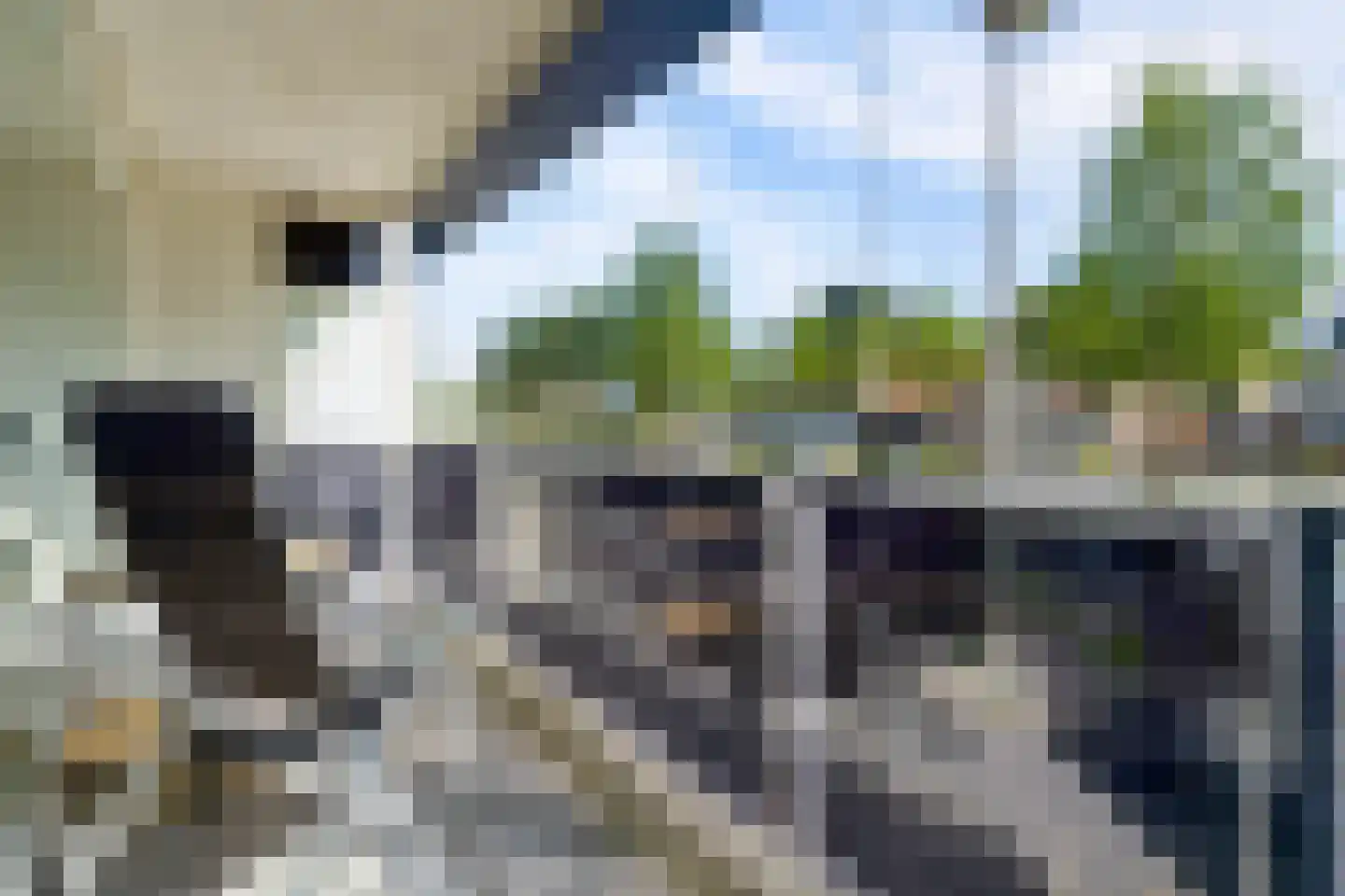 Cupidohof 6 Almere thumbnail 4