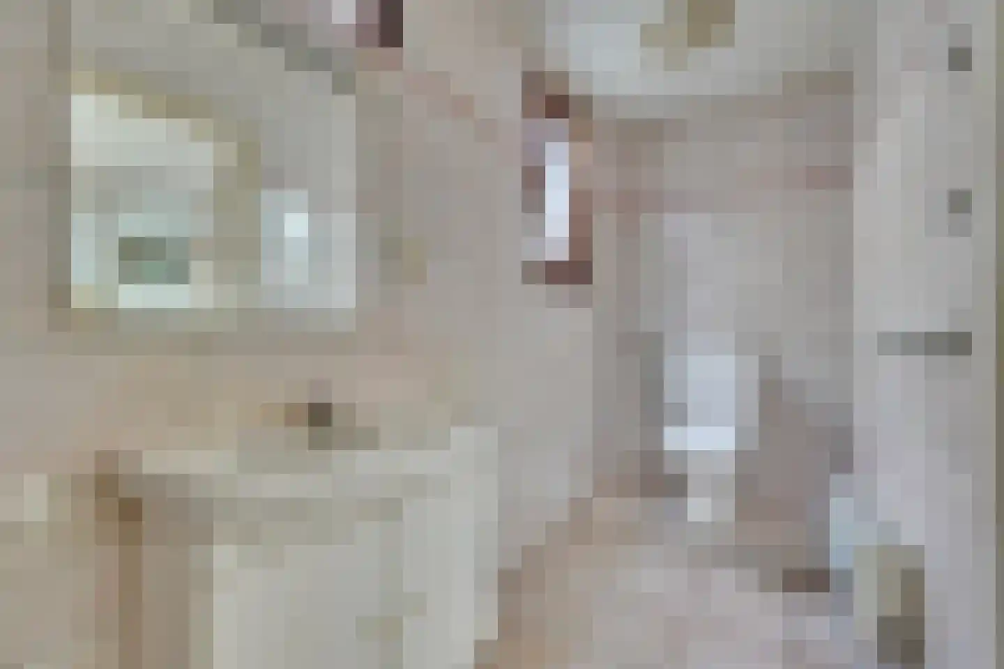 Cupidohof 6 Maastricht thumbnail 13