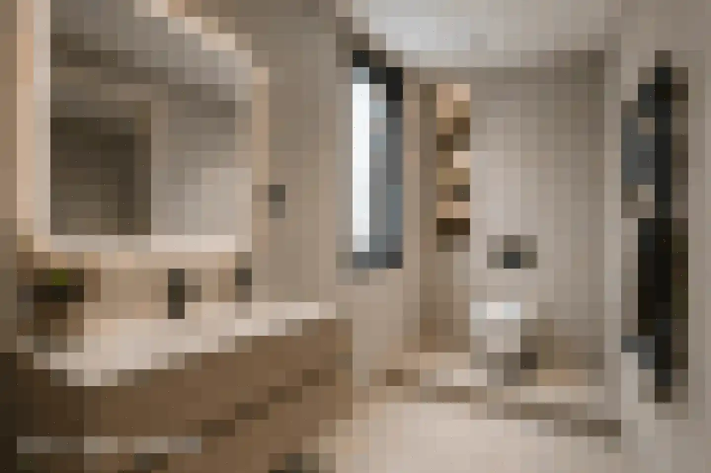 Cupidohof 6 Maastricht thumbnail 14