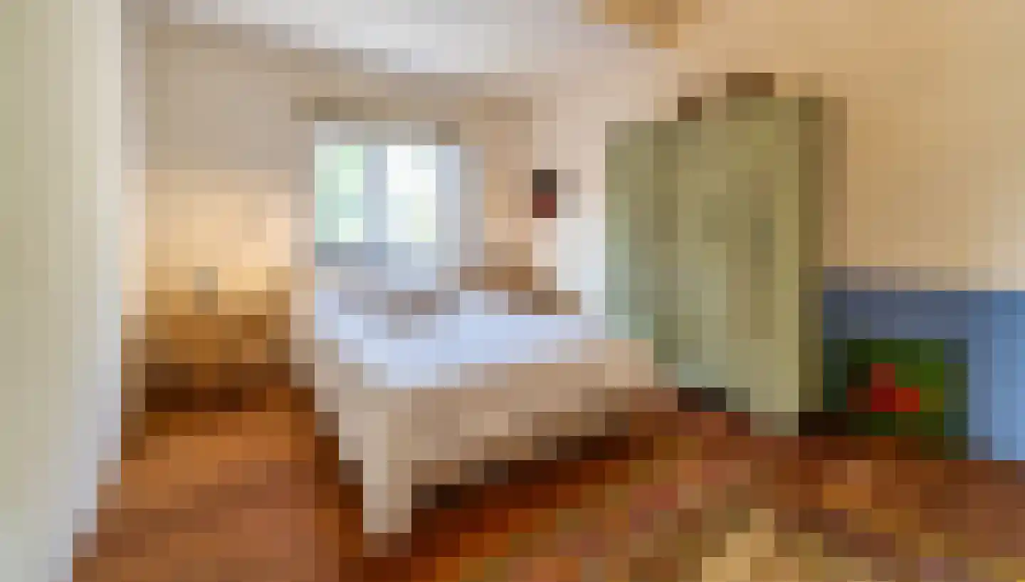 Cupidohof 6 Maastricht thumbnail 26
