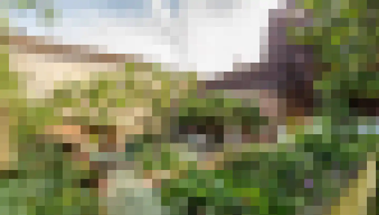 Cupidohof 6 Maastricht thumbnail 6