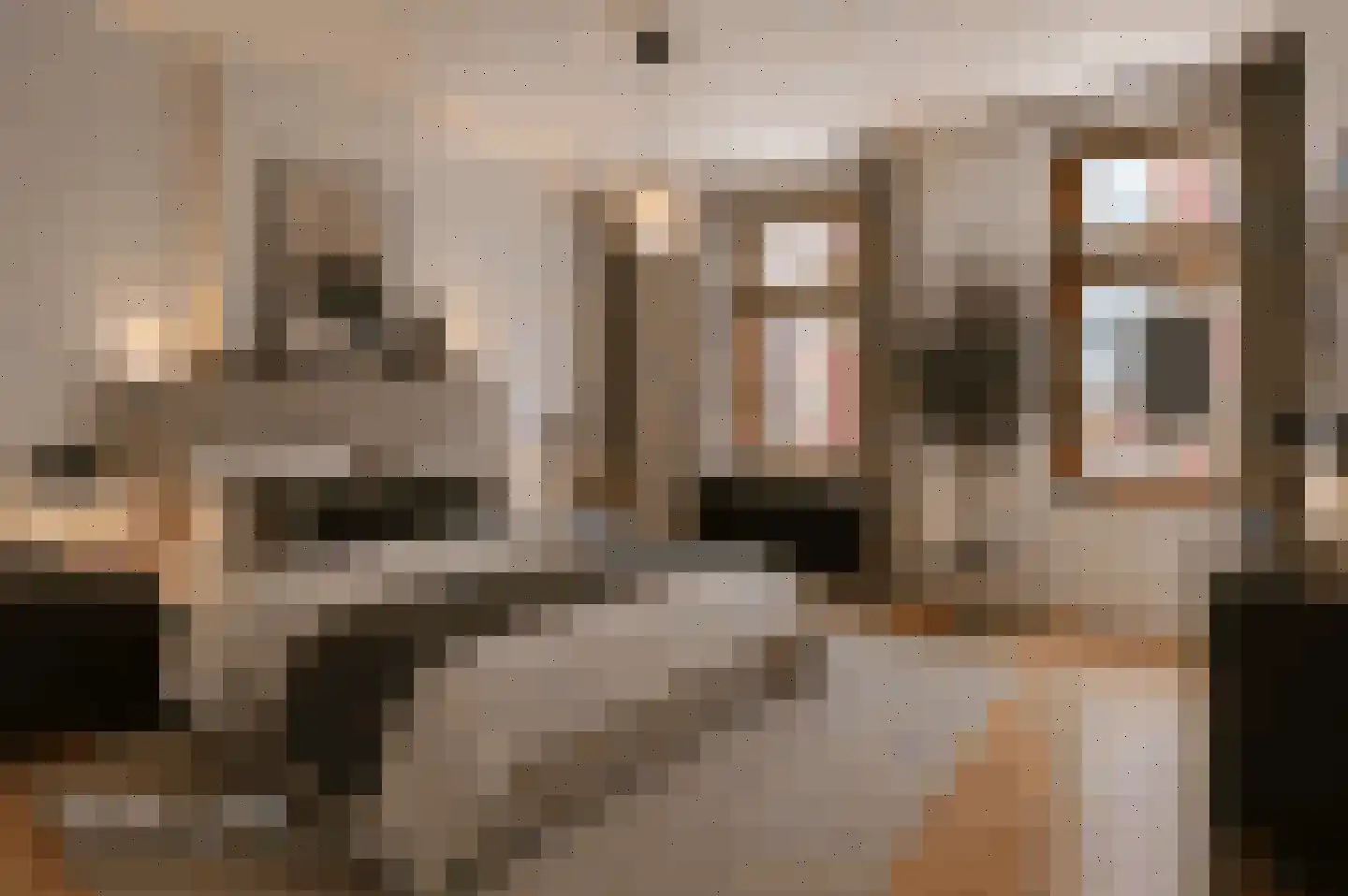 Cupidohof 6 Maastricht thumbnail 8