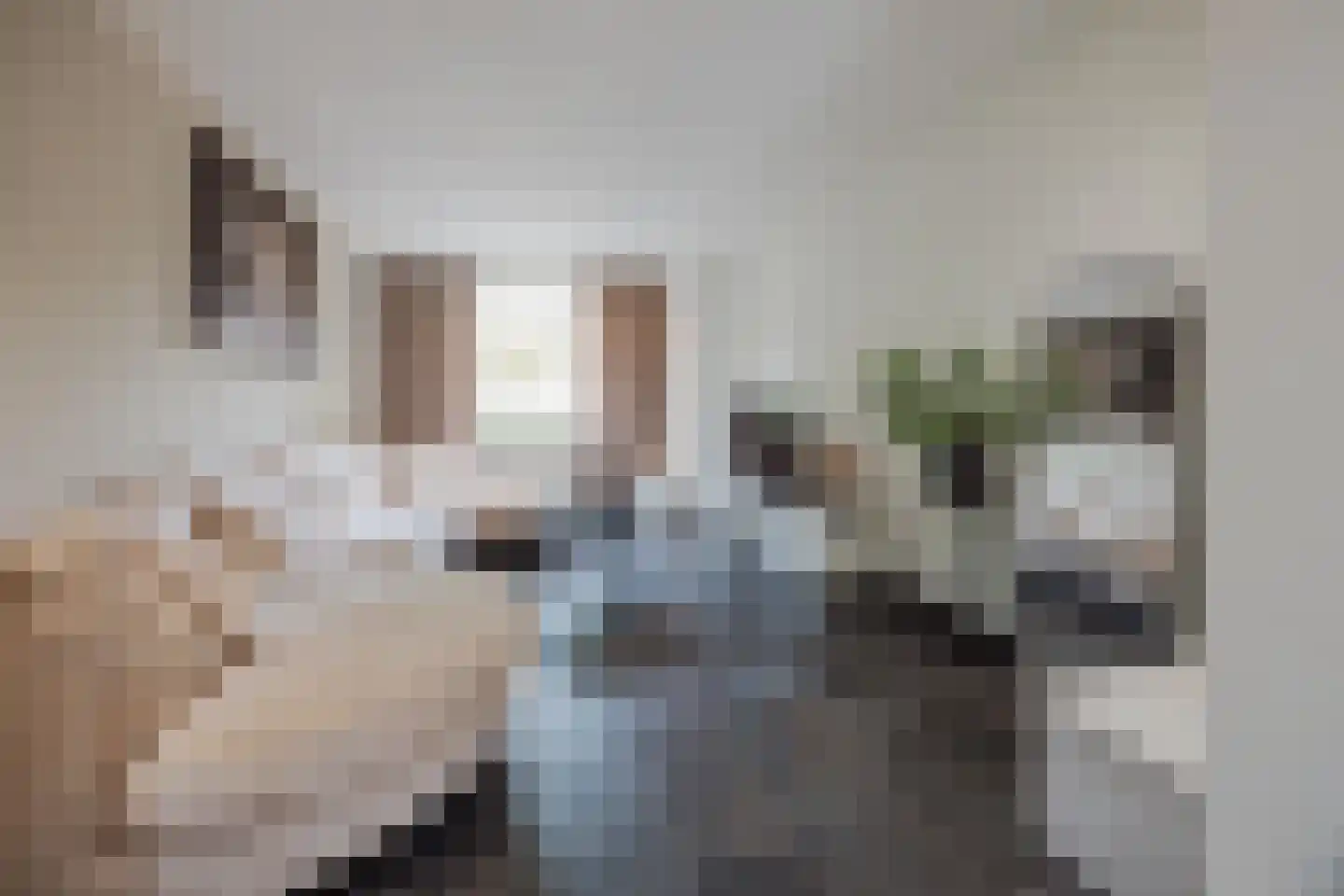 Cuppenpedje 46 Horst thumbnail 19