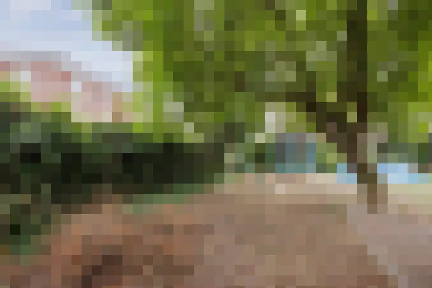 Cuppenpedje 46 Horst thumbnail 32