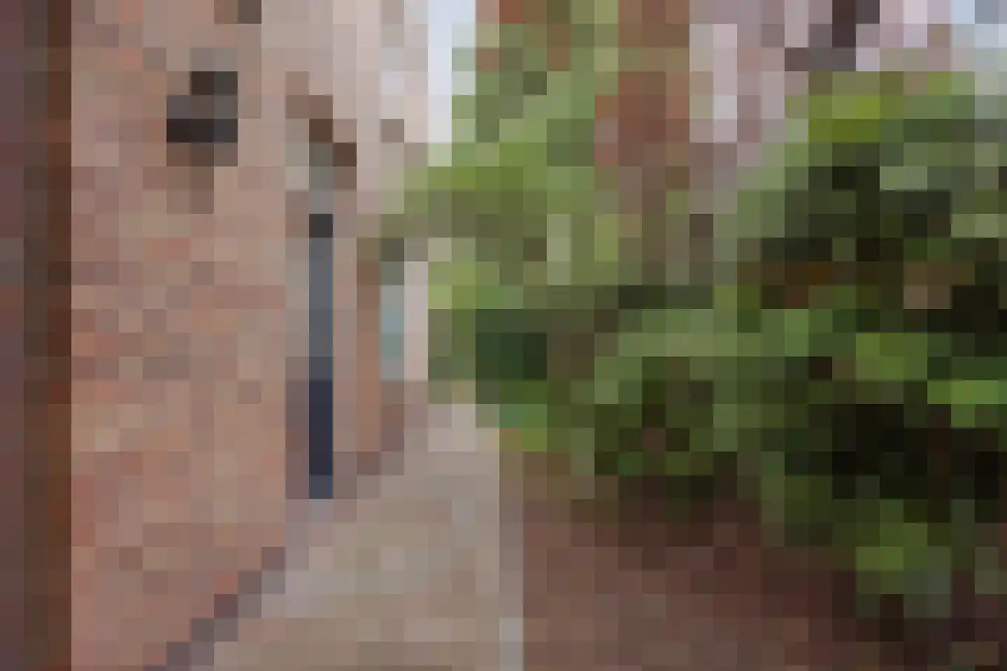 Cuppenpedje 46 Horst thumbnail 35