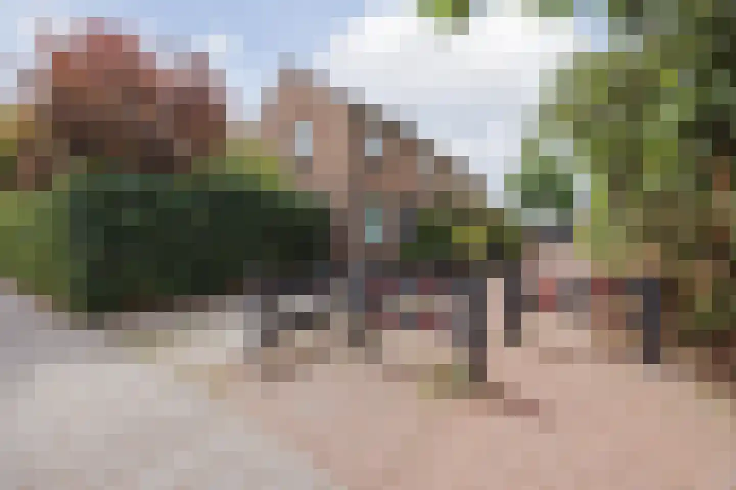 Cuppenpedje 46 Horst thumbnail 36