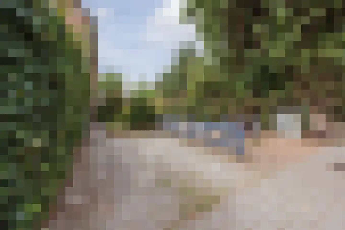 Cuppenpedje 46 Horst thumbnail 37