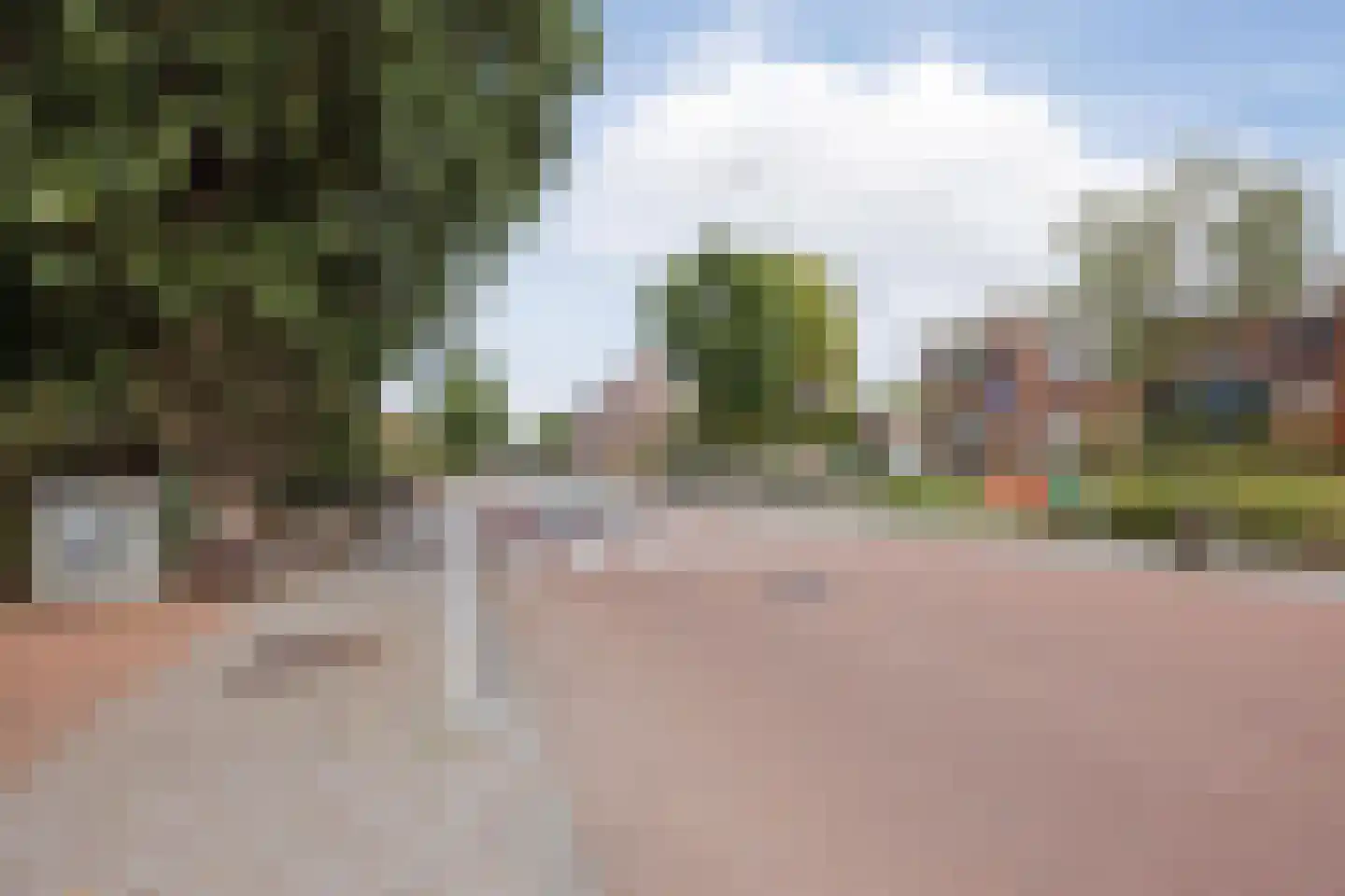 Cuppenpedje 46 Horst thumbnail 38