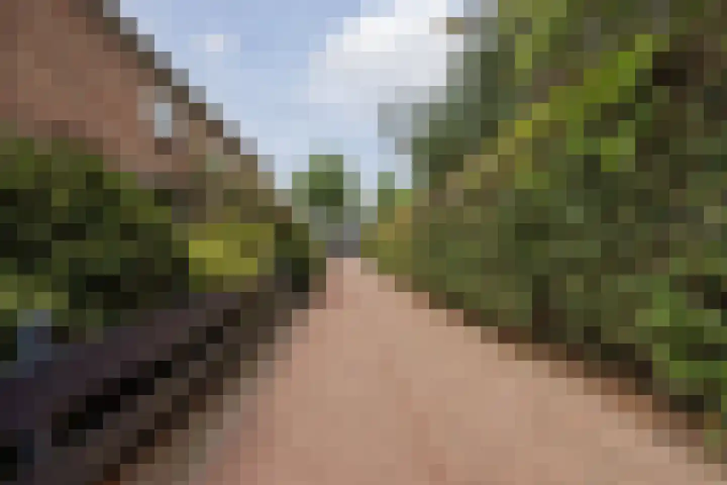 Cuppenpedje 46 Horst thumbnail 39