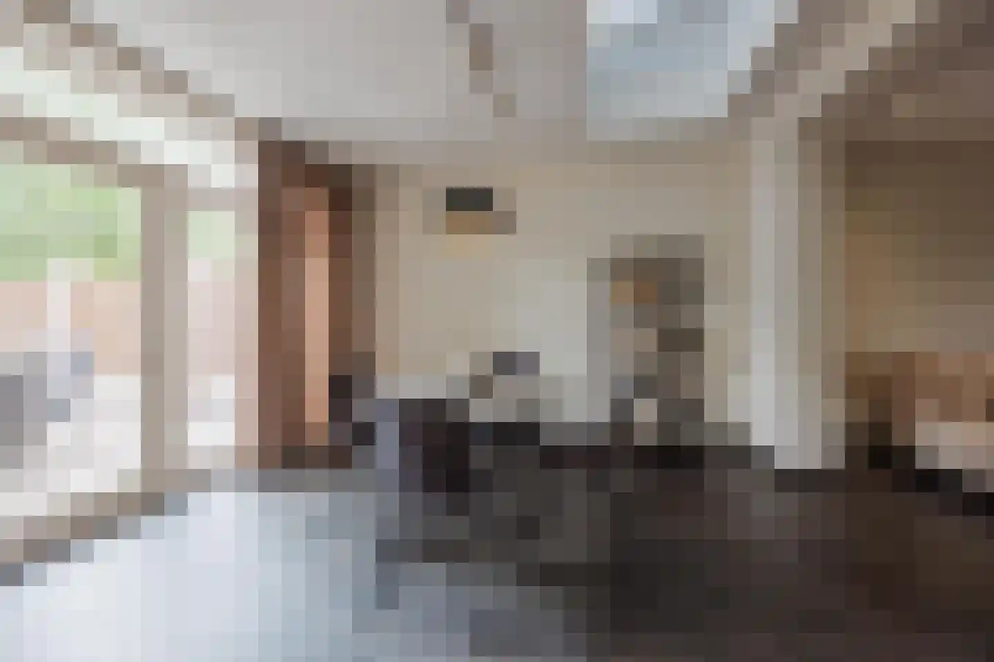 Cuppenpedje 46 Horst thumbnail 5