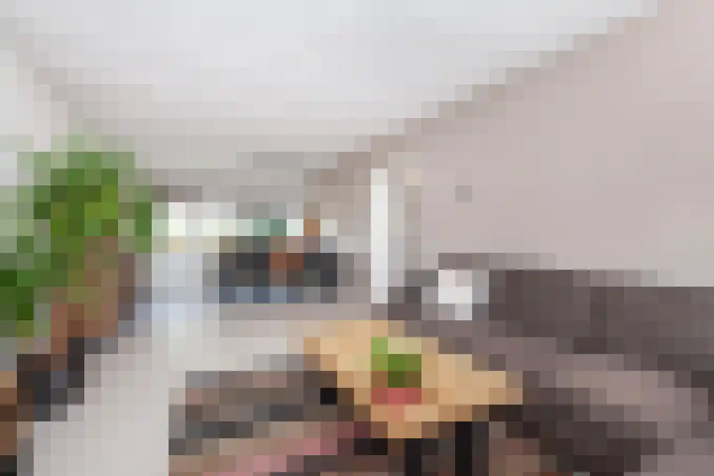 Curaçaolaan 102 Vlaardingen thumbnail 10