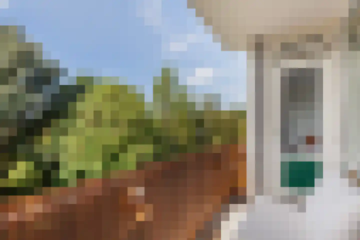 Curaçaolaan 102 Vlaardingen thumbnail 15