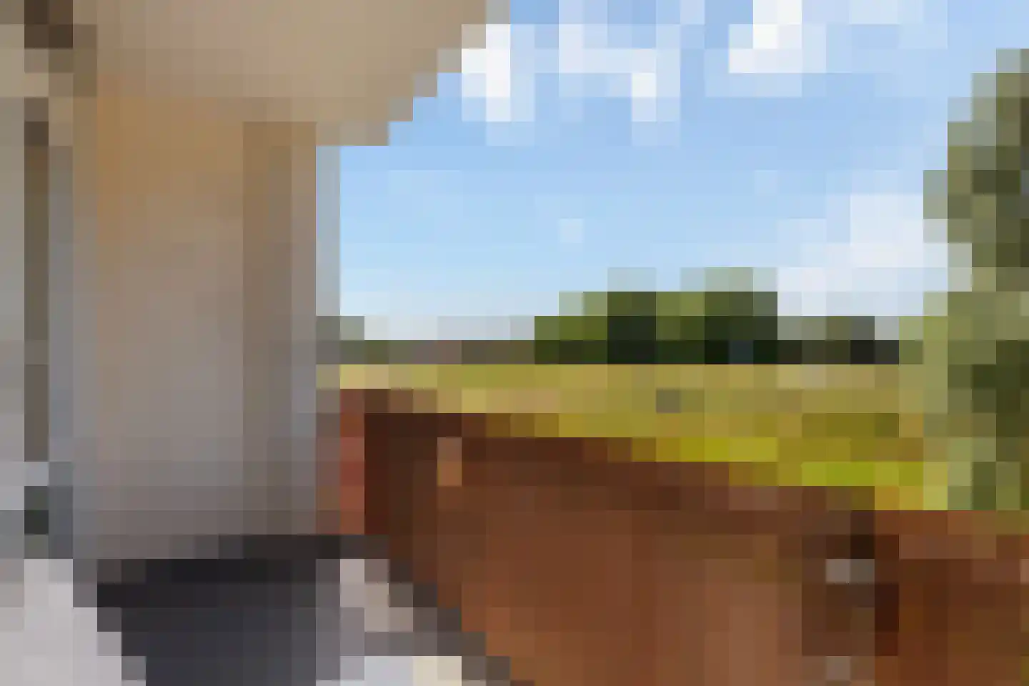 Curaçaolaan 102 Vlaardingen thumbnail 16