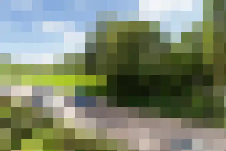 Curaçaolaan 116 Vlaardingen thumbnail 16