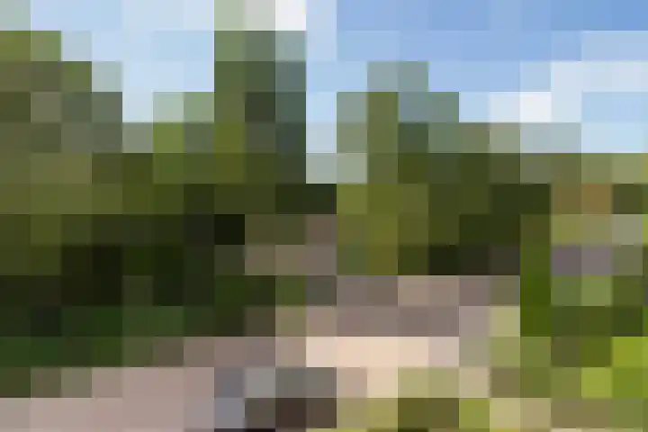 Curaçaolaan 116 Vlaardingen thumbnail 17