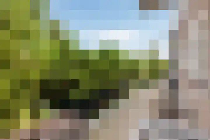 Curaçaolaan 116 Vlaardingen thumbnail 23