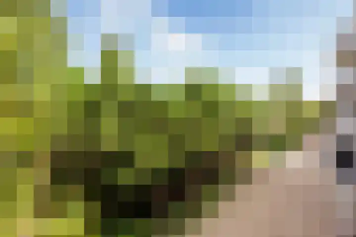 Curaçaolaan 116 Vlaardingen thumbnail 25