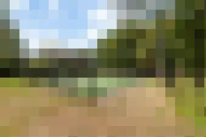 Curaçaolaan 116 Vlaardingen thumbnail 35