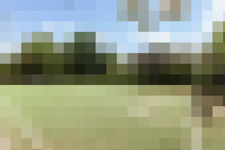 Curaçaolaan 116 Vlaardingen thumbnail 36