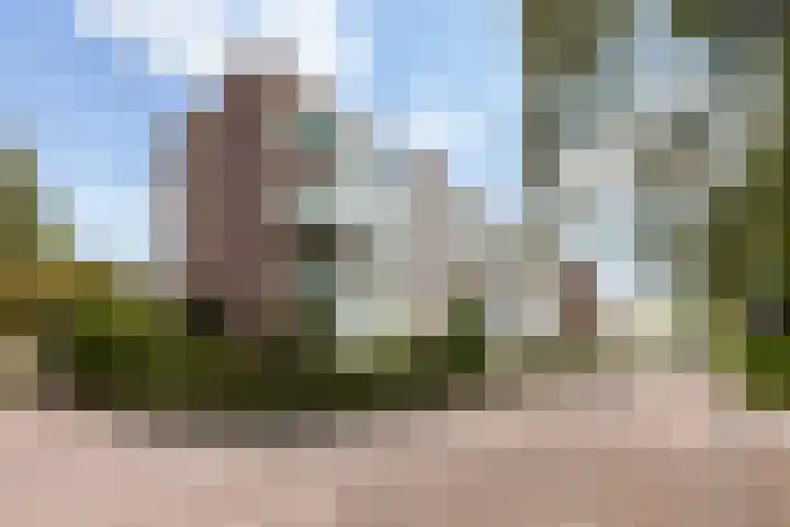 Curaçaolaan 116 Vlaardingen thumbnail 4