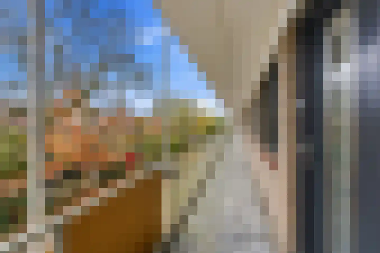Curaçaolaan 150 Vlaardingen thumbnail 24
