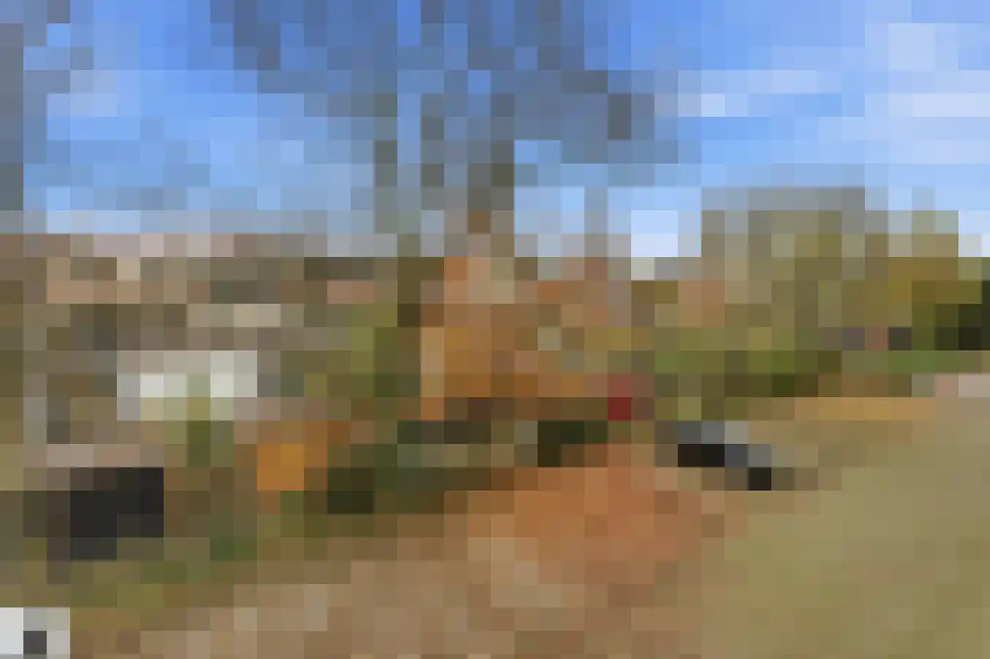 Curaçaolaan 150 Vlaardingen thumbnail 25