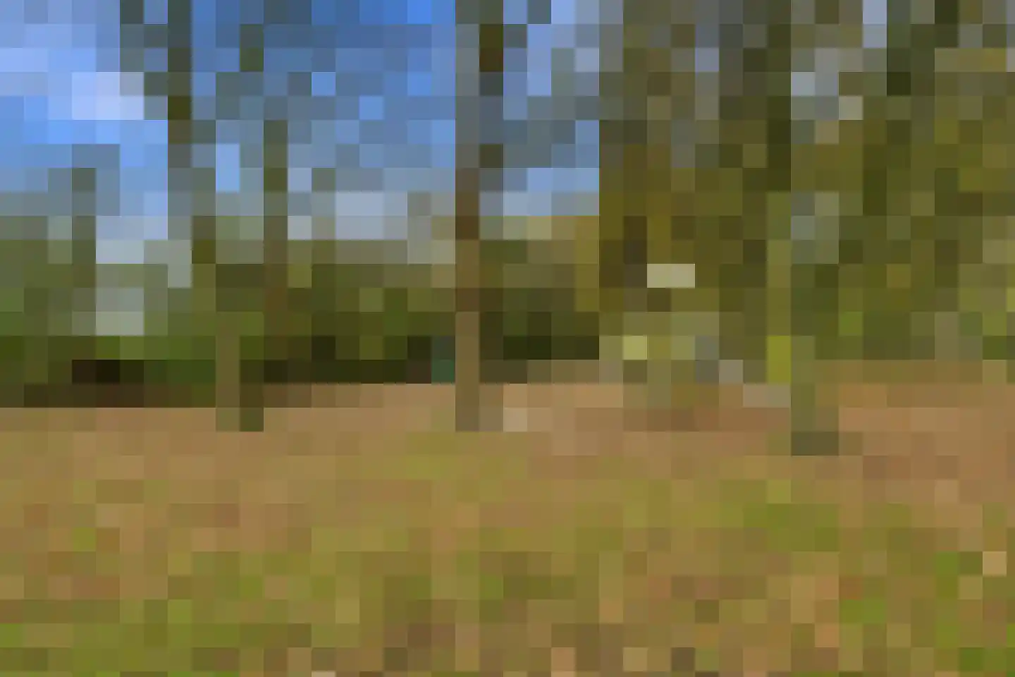 Curaçaolaan 150 Vlaardingen thumbnail 30