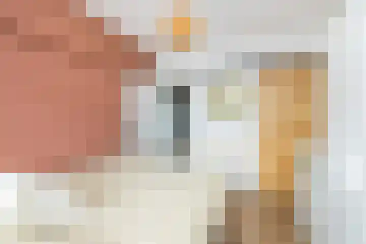 Curaçaolaan 160 Vlaardingen thumbnail 20