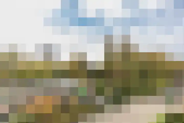 Curaçaolaan 160 Vlaardingen thumbnail 26