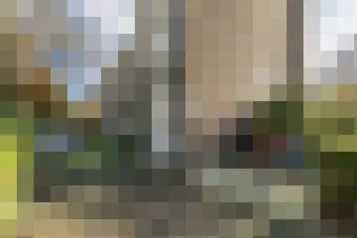 Curaçaolaan 160 Vlaardingen thumbnail 35