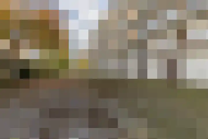 Curaçaolaan 160 Vlaardingen thumbnail 36
