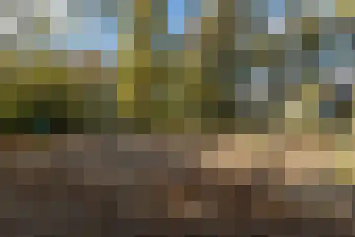 Curaçaolaan 160 Vlaardingen thumbnail 37