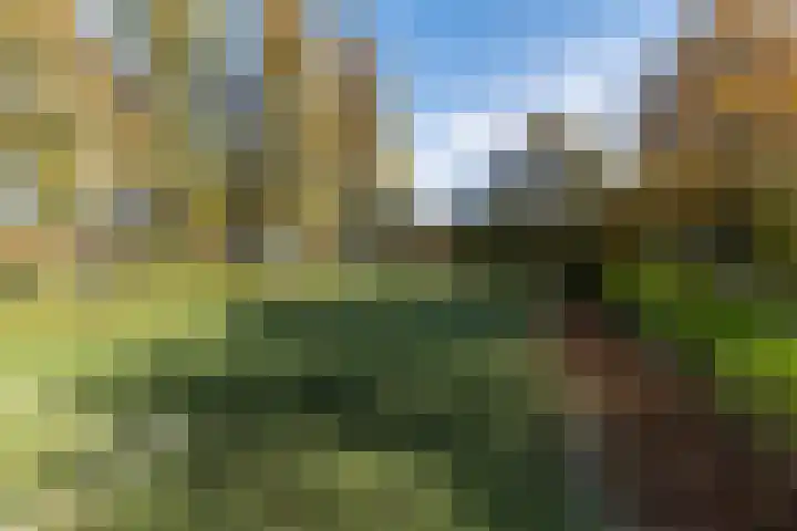 Curaçaolaan 160 Vlaardingen thumbnail 38