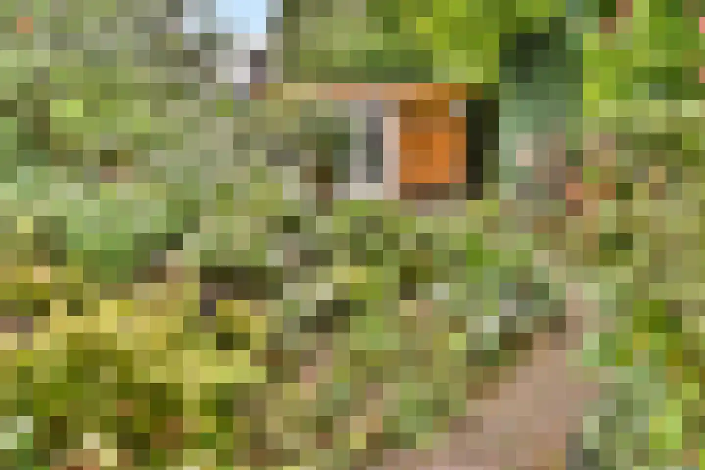 Curaçaolaan 192 Vlaardingen thumbnail 10