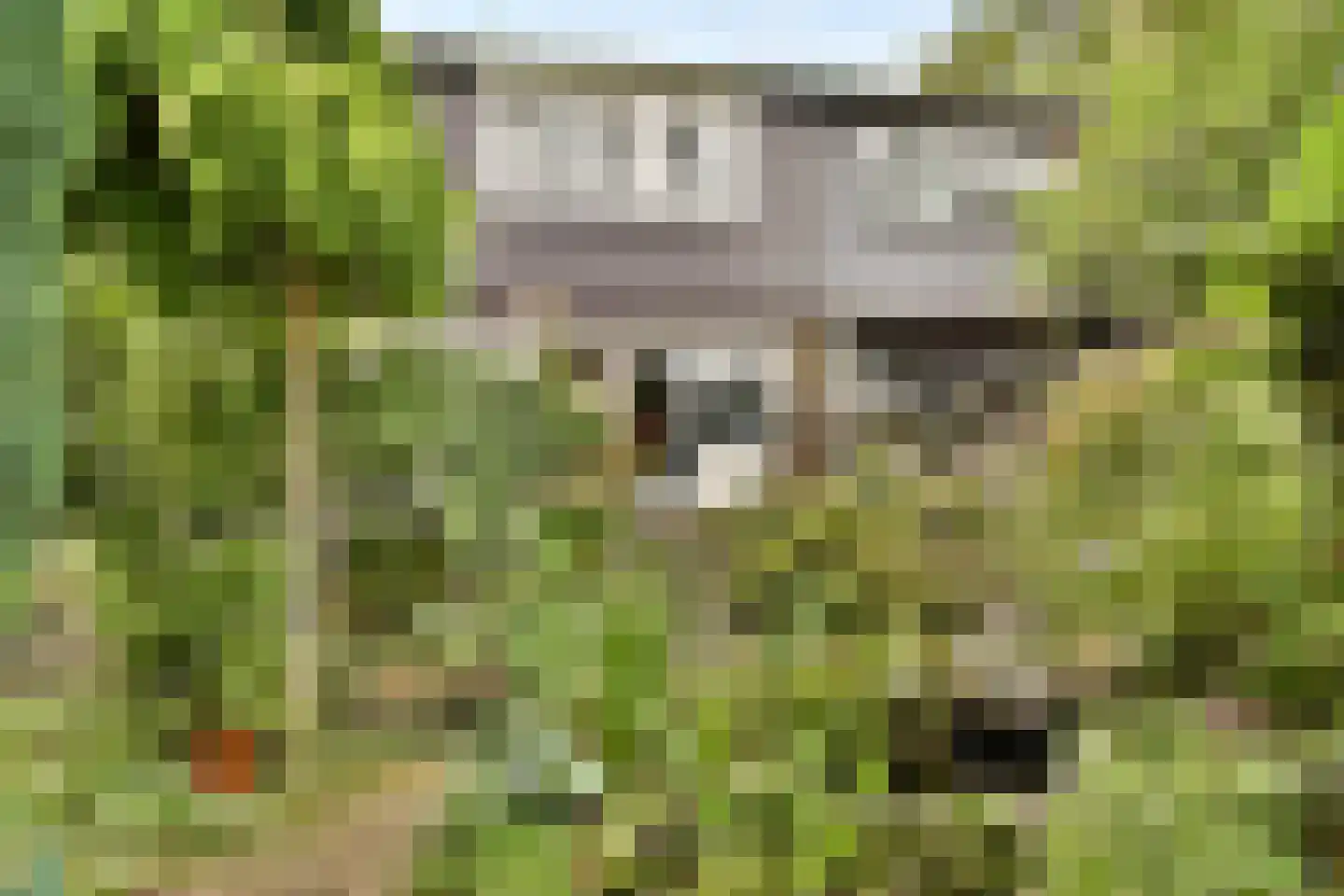 Curaçaolaan 192 Vlaardingen thumbnail 11