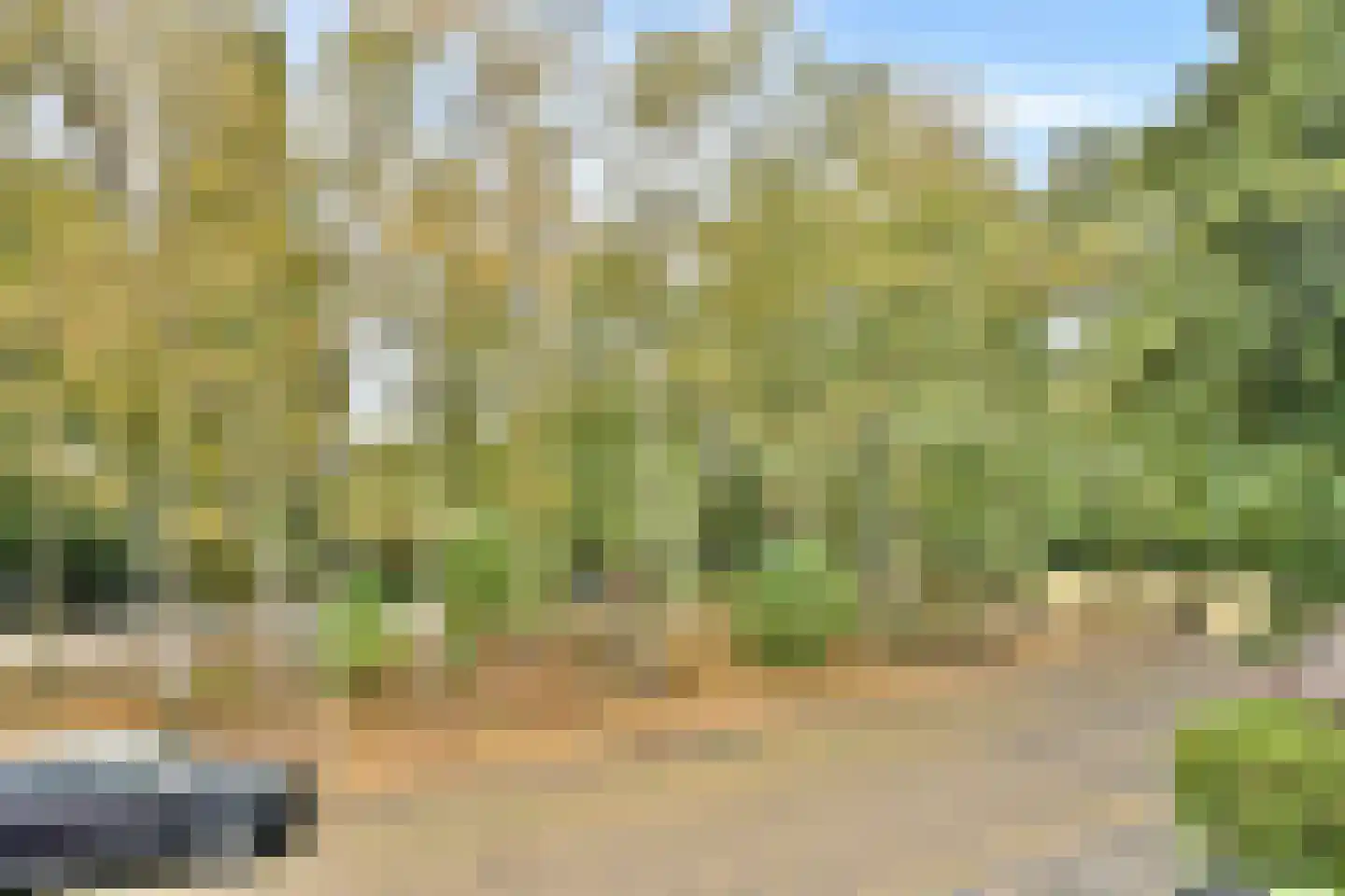 Curaçaolaan 192 Vlaardingen thumbnail 15