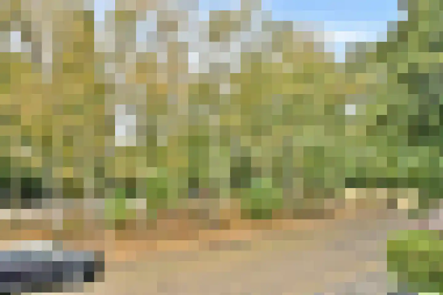 Curaçaolaan 192 Vlaardingen thumbnail 19