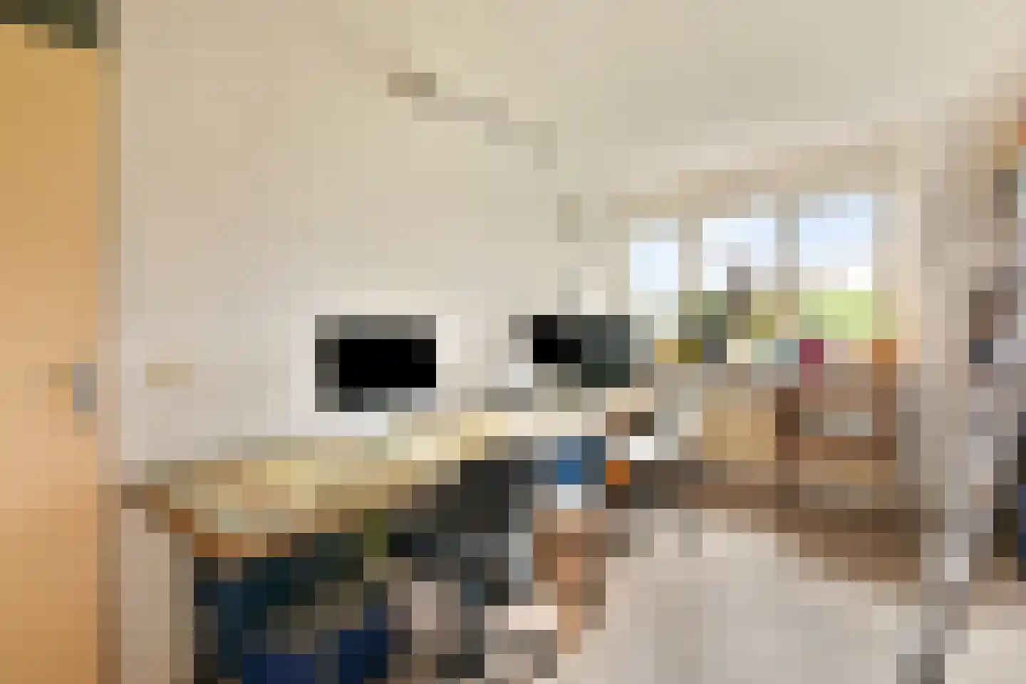 Curaçaolaan 192 Vlaardingen thumbnail 22