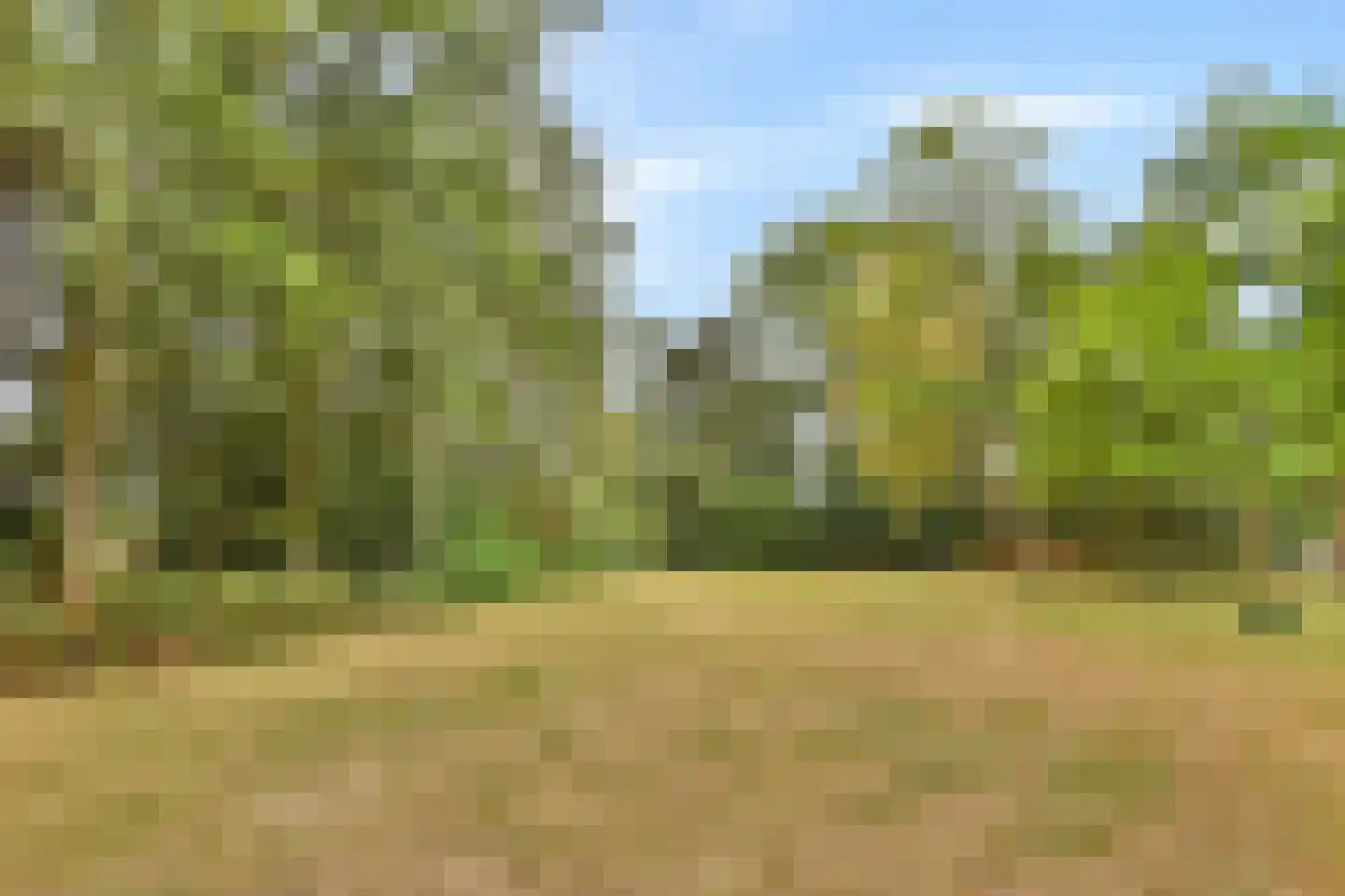 Curaçaolaan 192 Vlaardingen thumbnail 27