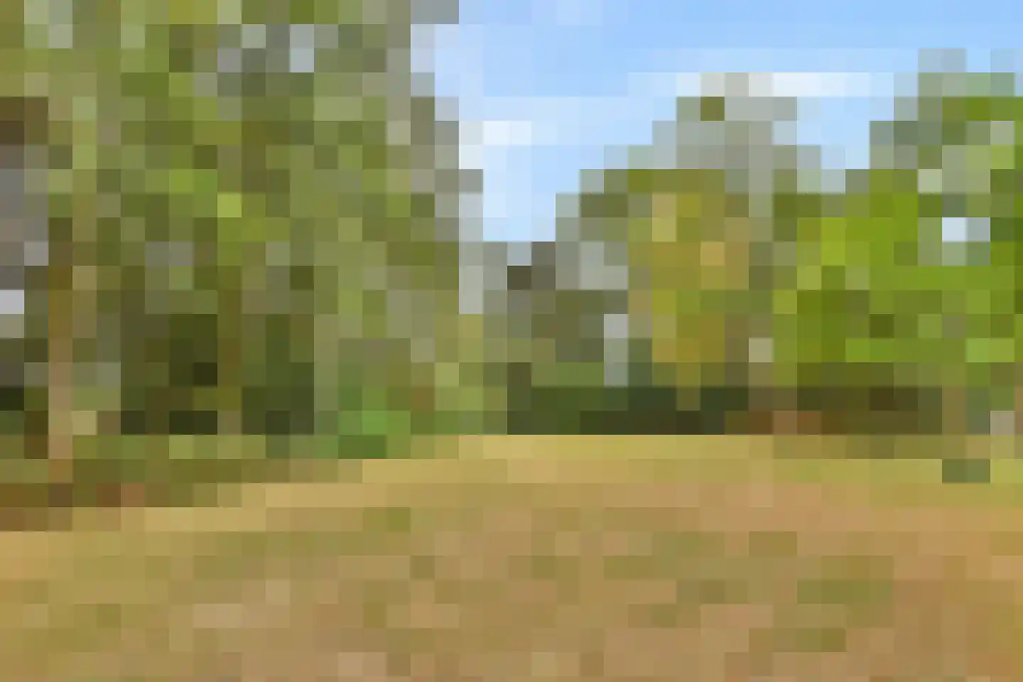 Curaçaolaan 192 Vlaardingen thumbnail 30