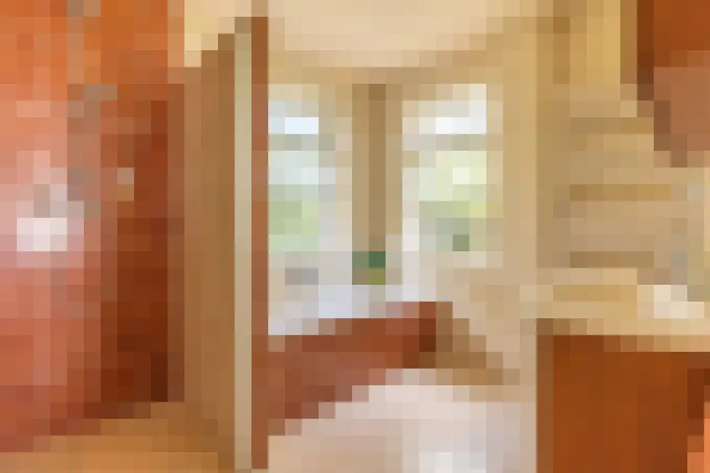 Curaçaolaan 20 Hilversum thumbnail 21